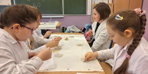 uczniowie uczestniczą w eksperymentach chemicznych